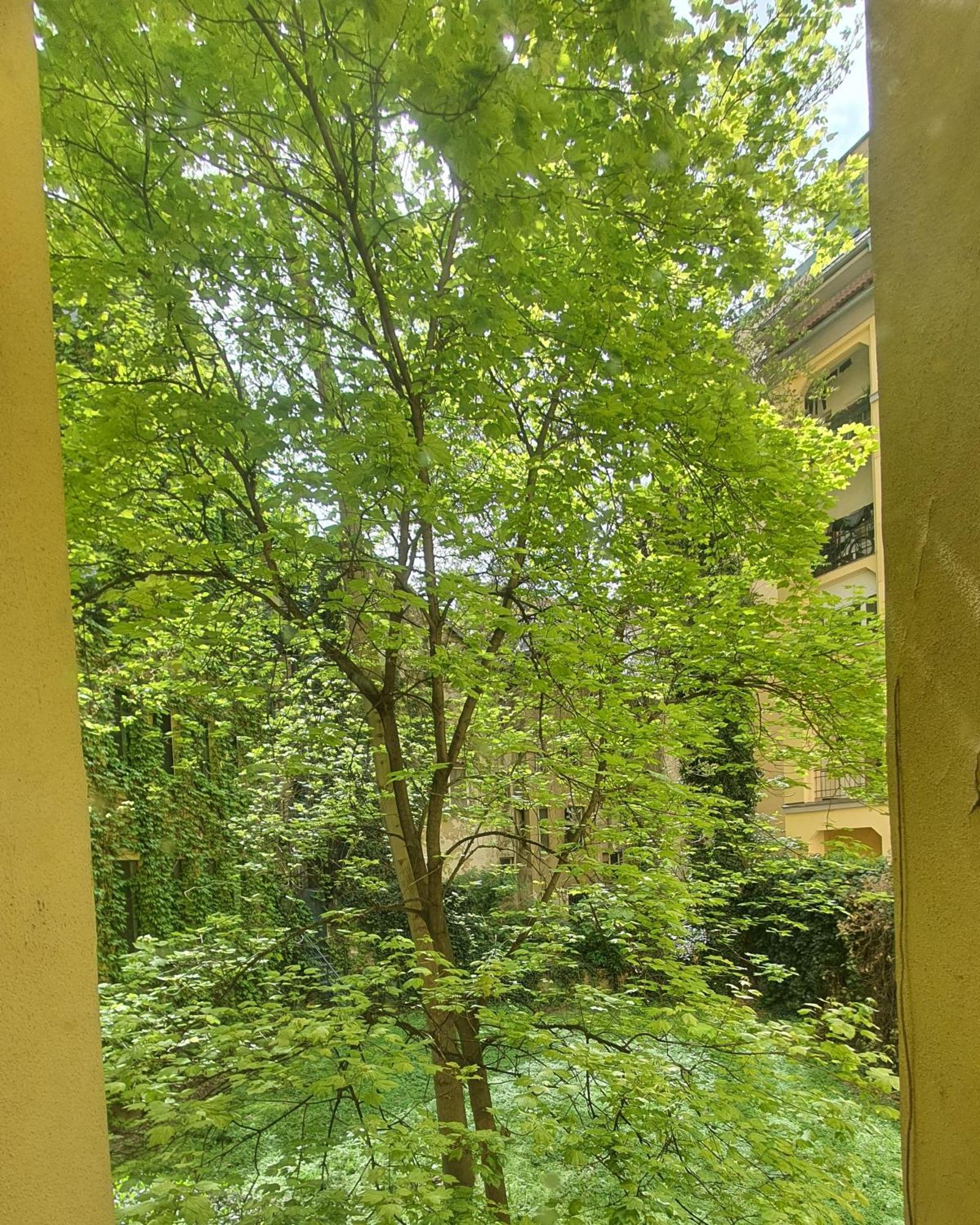 Mlynske Nivy 6, Ba Daire Bratislava Dış mekan fotoğraf